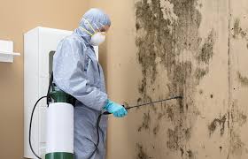 Mold Remediation for Vacation Homes in Bourbon, IN